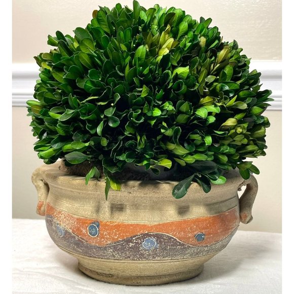 Handmade Stoneware Succulent Planter Pot - Picture 10 of 12